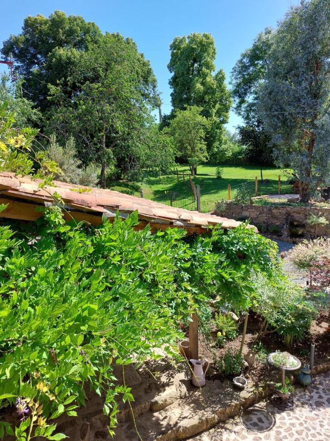 Lazy Days Bed & Breakfast Rancon Екстериор снимка