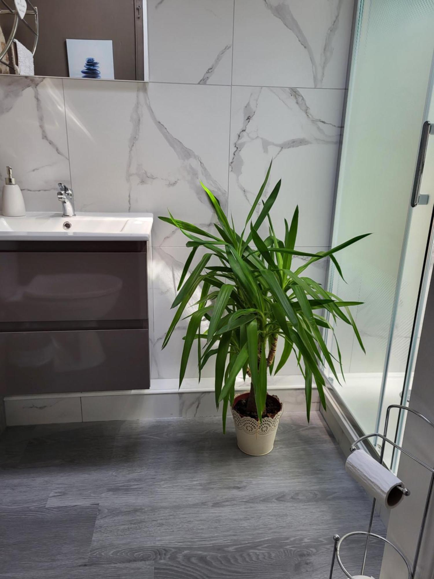 Lazy Days Bed & Breakfast Rancon Екстериор снимка
